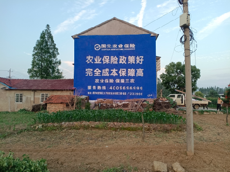 钟山墙体广告为何受追捧？